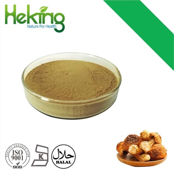 Agaricus Blazei ekstrakti